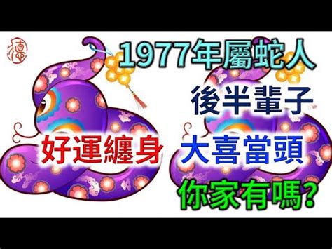 1977年屬什麼|1977年屬什麼生肖